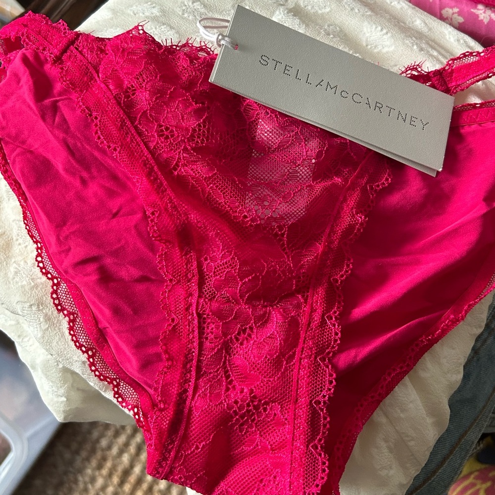 Brand New Stella McCartney Ella Shining Bikini Bottom
